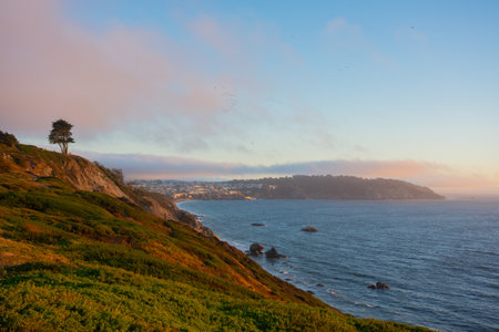 San Francisco Bay Area in the evening light