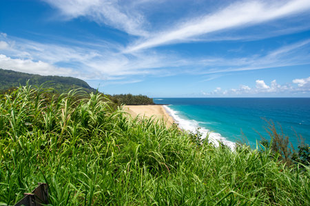 Kilauea point with wildlife refuge above turquoise bay on north coast of Kauai in Hawaiiの写真素材
