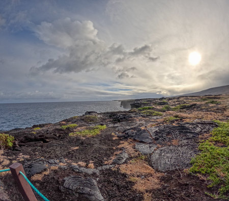 Coastal view of Volcanoes National Park, August 2024, Big Island, Hawaiiの写真素材