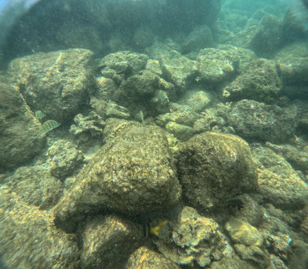 Underwater at Poipu beach in Kauai, Hawaii, USAの写真素材