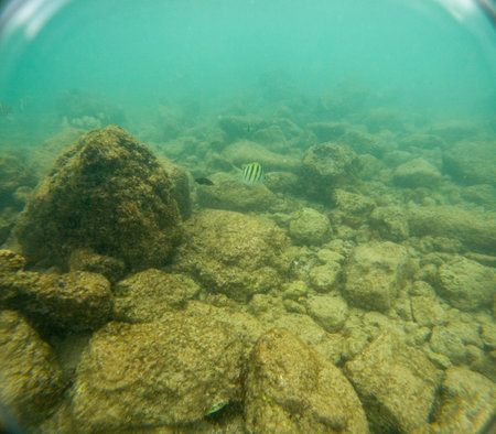 Underwater at Poipu beach in Kauai, Hawaii, USAの写真素材