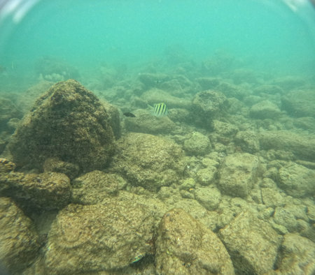 Underwater at Poipu beach in Kauai, Hawaii, USAの写真素材