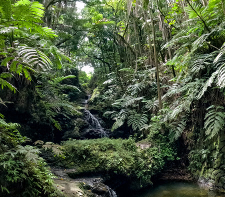 Fabulous Onomea Falls located in Hawaii Tropical Botanical Garden on the Big Island of Hawaii, USAの写真素材