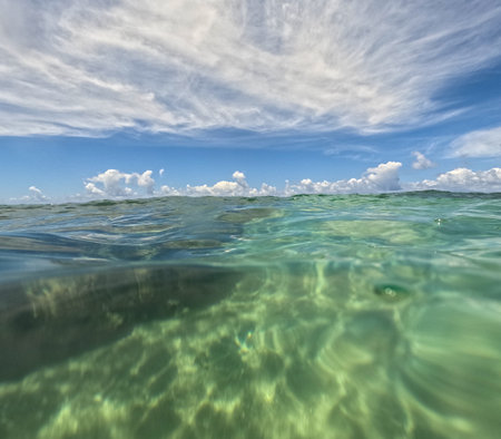 Hanalei, HI, USA beach near Hanalei in August 2024の写真素材
