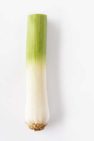 Leek on white backgroundの写真素材