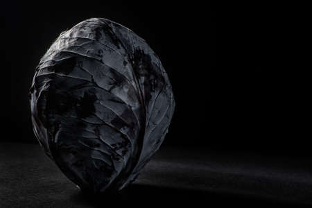 red cabbageの写真素材