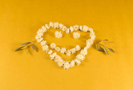 smiling heart from flowers on a yellow background.の写真素材