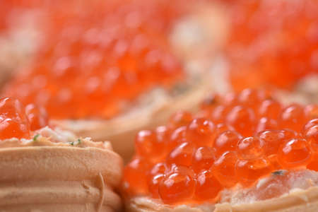 Caviar. Red caviar. Gourmet food close up, appetizer. Tartlets with red caviarの写真素材