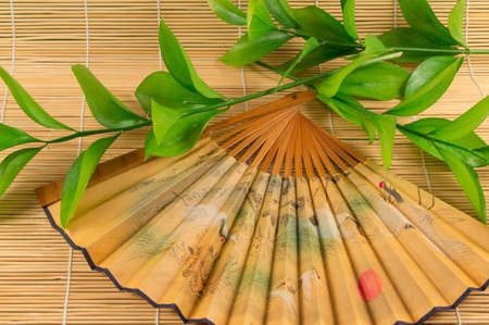 Oriental outdoor fan and green stems on a bamboo Mat.の写真素材