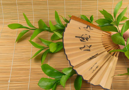 A woman holds a folding fan in her hand. A green branch lying on bamboo Mat