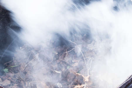 The smoke from the burning of old leaves and grasses.の写真素材