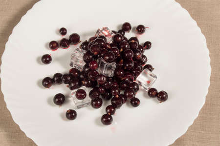 Black currant with ice cubes on white plate.の写真素材