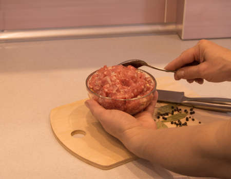 Female hands holding a bowl with minced meat in the kitchenの写真素材