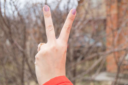 Women's left hand shows the victory sign.の写真素材
