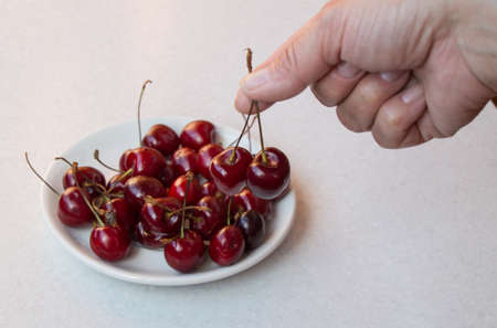 Sweet cherry in the hand and on a white plate, selective focus on the berries.の写真素材