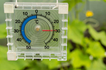 Thermometer for measuring air temperature in the greenhouse