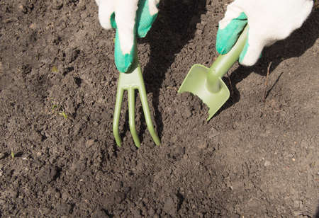 Woman working in your garden - preparing the soil for raised beds.の写真素材