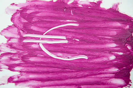 Euro sign painted on the textures of the sample smear lipstick.の写真素材