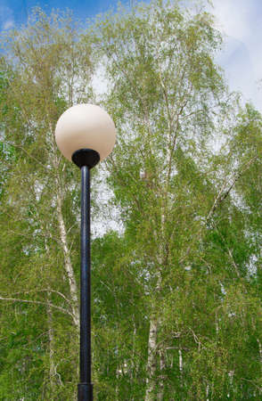 Lantern and green leaves on the trees in Parkの写真素材