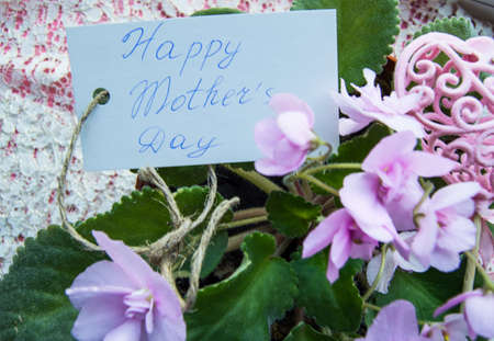 Mothers day card with lettering and flowers of violet, a beautiful backdrop for greetings