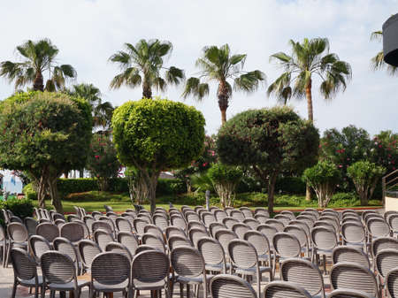 Brown chairs stand in a row in the lap of nature, the concept of a festive ceremonyの写真素材