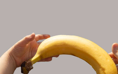 Ripe yellow banana in childrens hands, clipping on gray backgroundの写真素材