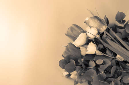 Beautiful bouquet of tulips and bushy little yellow rose on pink background, flat lay with copy space, Sepia Effect.の写真素材