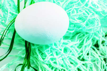 Easter concept, white egg on neon green background, woven fabric nest, top view, copy space, modern design.の写真素材