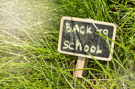 Sunlight falls on the green grass and the black Board with the inscription Back to school. The concept of education, training, teacher's Day.の写真素材