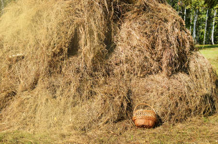 Wicker picnic basket on haystack background - authentic rural scene on Sunny summer day.の写真素材