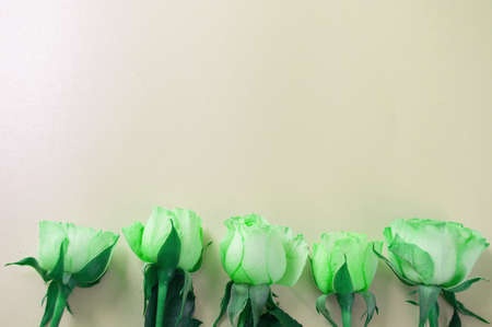Toned effect of green roses lying on the bottom edge of the layout template. Creative blank card for invitation, greetings with copy. The view from the top, flat lay.の写真素材