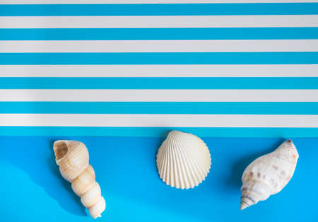 Summer sea background made of blue and striped paper with shells and a copy of the space symbolizing...