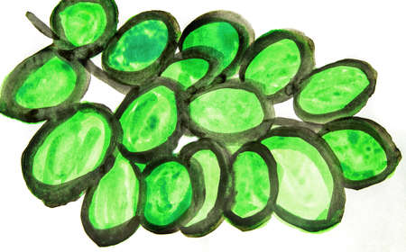 Watercolor stylized image of a bunch of green grapes, isolated on a white background, cute hand...