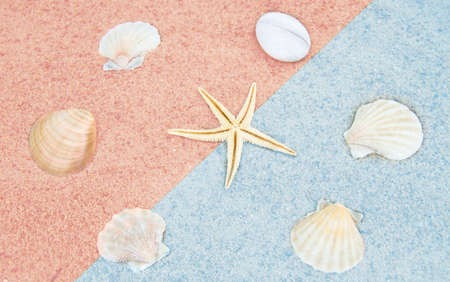 Shells and starfish lie on the sand in the shape of a dial, a symbol of time for rest, travel, summer vacation, pink and blue tinted.の写真素材
