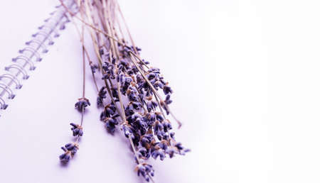 Romantic lilac bunch of lavender on an open blank Notepad, low depth of field.の写真素材