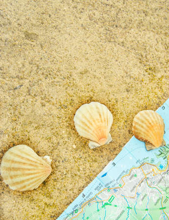 Go travel after the quarantine. Shells and geographical map on the sand, top view. the concept of recreation in travel, adventure and sea travelの写真素材