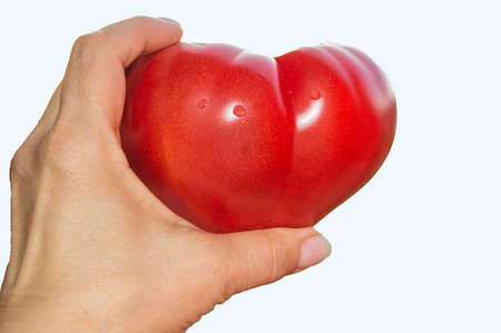 A woman's hand holding one large whole red tomato.の写真素材