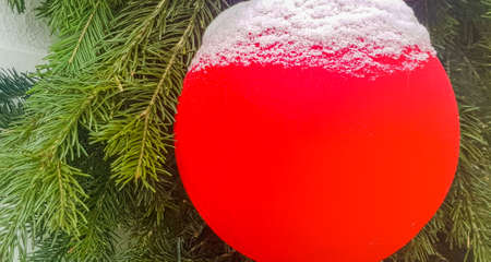 A street red cat basks in the sun on a bench, outdoors, in a summer park.の写真素材