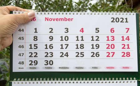 November 2021 on the calendar page, wall calendar, business planning concept.