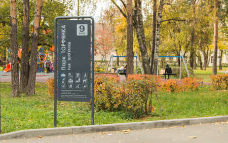 Natural background of organic vegetables - red ripe tomatoes in a plastic blue bucket, the concept of harvesting.の写真素材