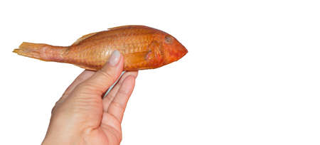 Boiled chicken breast with green boiled peas, cucumber and sauce on a white dish. Healthy balanced nutrition, the concept of a diet.の写真素材