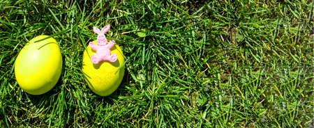 One painted Easter egg on a fresh spring meadow in bright sunlight, top view, a copy of the space...