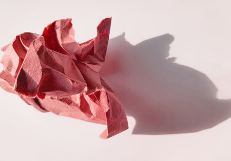 Bed with garlic, young shoots with leaves, wooden fence of the bed, vegetable background.の写真素材