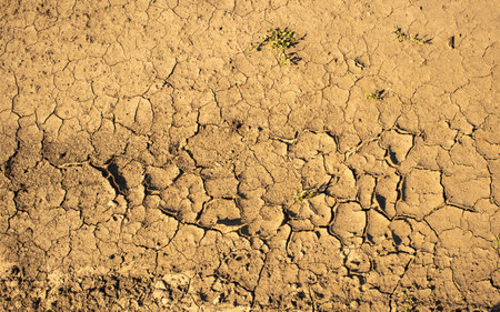 Background of dry cracked earth, parched earth, texture of earth dirt, desert, global warming,...