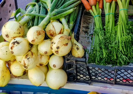 Close-up of fresh onions with a green feather and bunches of carrots on the counter of a vegetable store.の写真素材