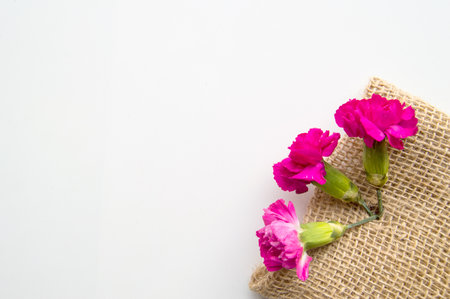 Spring layout for a creative greeting card, three pink carnations on a burlap and a place for text, the concept of design of a greeting card for Mother's Day.の写真素材