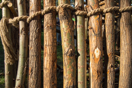 Close-up of upright logs tied with jute rope in warm sunlight. Natural wood texture, rustic eco...