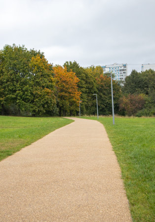 Curved path in urban park in autumn with trees and lampposts. Wellbeing walk near apartment buildings autumn trees and alleyの写真素材