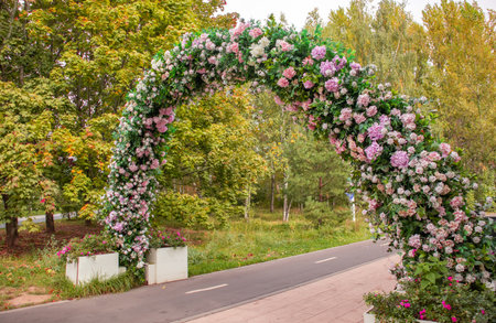 Instagrammable spot with lush flower arch on walking trail. Eco friendly decor and landscape design in green urban parkの写真素材