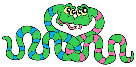 Pair of snakes in  - vector illustration.